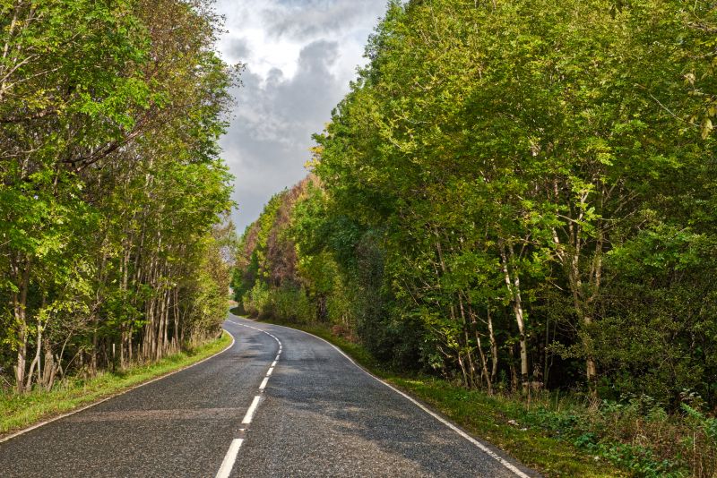 Road Coating Service